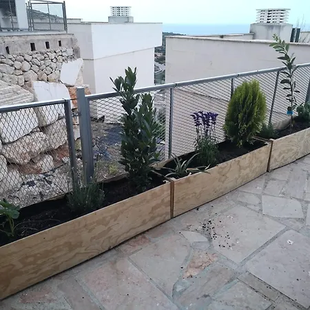 La Casa Del Mirlo Azul - Apartment *